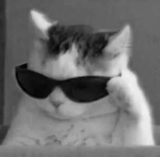 ✨ emoji Катька плагиатка Telegram sticker 8 of 36