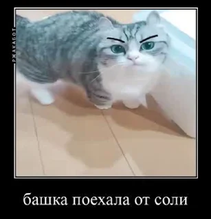 😵‍💫 emoji Хуйня кака-ято Telegram sticker 16 of 44