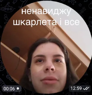 Sticker from капібари