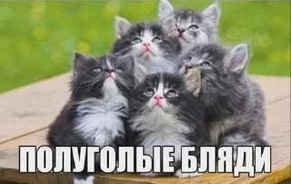 😝 emoji Легенда хелп ми Telegram sticker 8 of 94