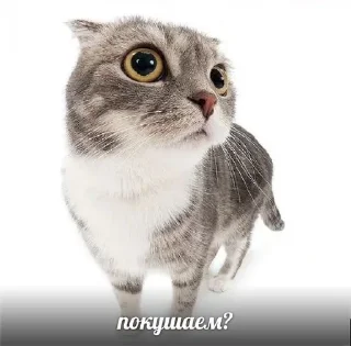 Sticker from маришулик