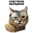 😎 emoji Котики [eeZee] Telegram sticker 13 of 48