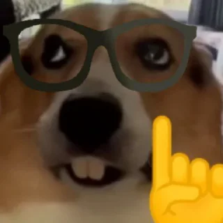 🤓 emoji Чо за фигня Telegram sticker 11 of 31
