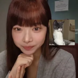 🐱 emoji ･῾ ᵎ 📼 eunchae ♡‌ – @JANEST1CK0 Telegram sticker 23 of 40