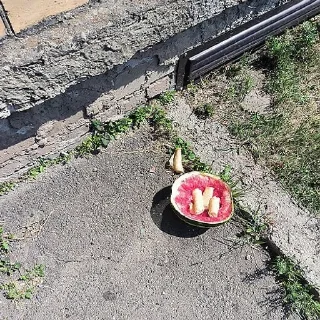 🍽️ emoji ЛАКОМЛЮСЬ ЩАС Telegram sticker 15 of 107