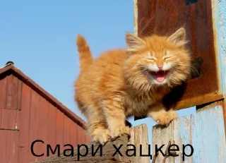 😄 emoji Fuck the system chat Telegram sticker 24 of 87