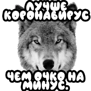 🦠 emoji Волки @stickernayaa Telegram sticker 19 of 25