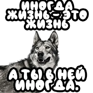 💝 emoji Волки @stickernayaa Telegram sticker 18 of 25