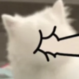 🐾 emoji Samoyed (@puppy_lee) Telegram sticker 10 of 77