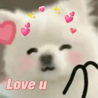 Sticker from Samoyed (@puppy_lee)