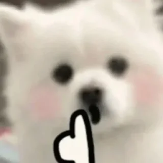 🐾 emoji Samoyed (@puppy_lee) Telegram sticker 7 of 77