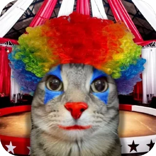 🤡 emoji зазу кет Telegram sticker 18 of 81