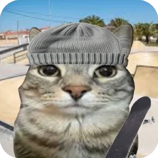 🛹 emoji зазу кет Telegram sticker 15 of 81
