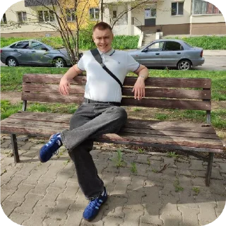 Sticker from максимка нидерландов👶
