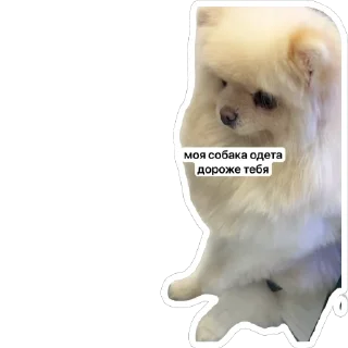 Sticker from наша тройка
