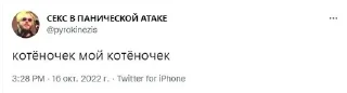 🐈 emoji а что если @ccmh228 существо? Telegram sticker 17 of 40