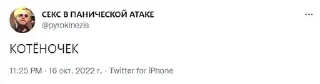 🐈 emoji а что если @ccmh228 существо? Telegram sticker 21 of 40