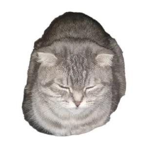 Sticker from Ксюша
