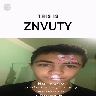 🎵 emoji Spotify Artists @NIVERSTETIONmusic Telegram sticker 9 of 21
