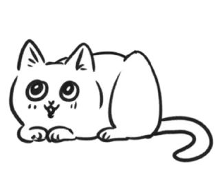Sticker from чб cat ` | ➩ tg: @wexsavi 🐾