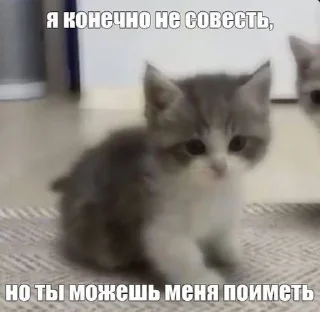 😨 emoji май стикс <3 Telegram sticker 5 of 29