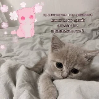🙁 emoji май стикс <3 Telegram sticker 3 of 29