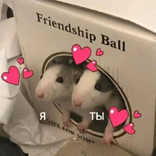 🫣 emoji май стикс <3 Telegram sticker 6 of 29
