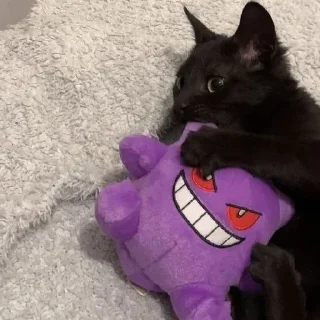 💗 emoji Котики уву Telegram sticker 14 of 50