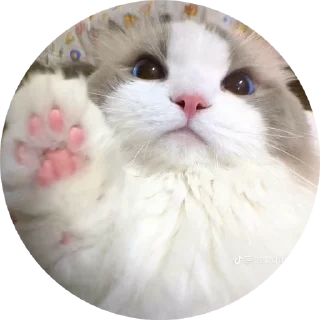 🖐 emoji InMyNogot Telegram sticker 6 of 16