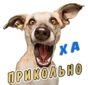 👍 emoji животные Telegram sticker 2 of 58