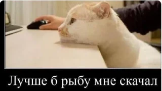 😩 emoji а вдруг пригодится? Telegram sticker 16 of 58