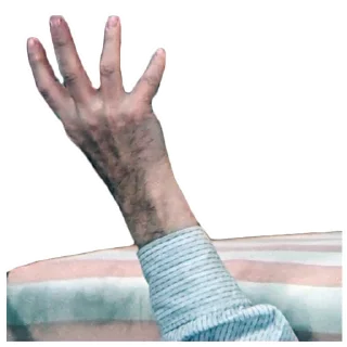 ✋ emoji Не может быть! (2) :: @elsticko Telegram sticker 6 of 120