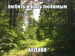 Sticker from душевные стикеры