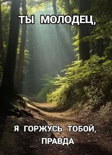 Sticker from душевные стикеры