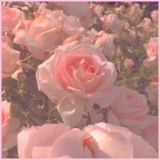 🌷 emoji 🌷 ᴇʟʏsɪᴀ & ᴡɪᴅɢᴇᴛs | @ellieow Telegram sticker 9 of 26