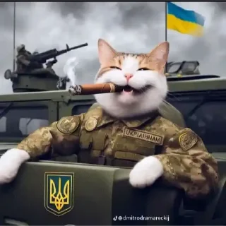 😀 emoji Українські коти Telegram sticker 8 of 23