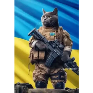 😀 emoji Українські коти Telegram sticker 22 of 23