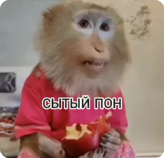🌟 emoji Monkey пон Telegram sticker 15 of 38