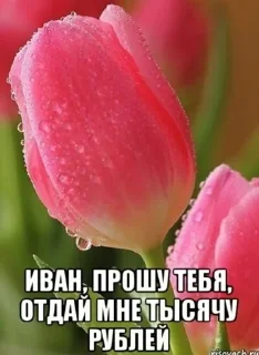 Sticker from рабака панки