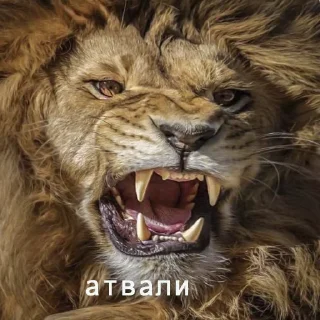 🦁 emoji mix2 (@ahahastya) Telegram sticker 7 of 32