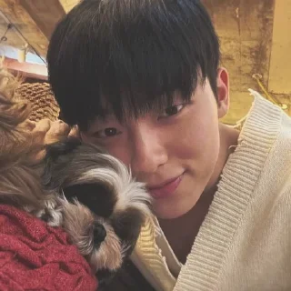 🌟 emoji Choi hyun wook Telegram sticker 6 of 18