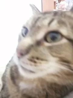 🤭 emoji Батон Telegram sticker 12 of 107