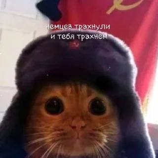 😉 emoji Ваный беспредел Telegram sticker 5 of 47