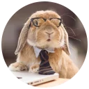 🤓 emoji Хитрый кролик Telegram sticker 21 of 74