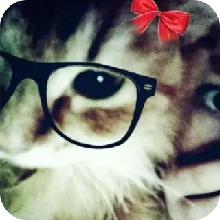 Sticker from Kitty
