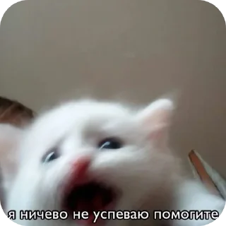 Sticker from МЭМ (скажи пароль.)
