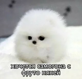 Sticker from МЭМ