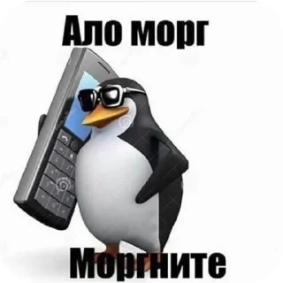 🐦 emoji Мэм Telegram sticker 12 of 19