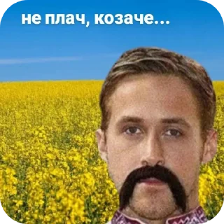 🥲 emoji МЭМ (скажи пароль.) Telegram sticker 6 of 120