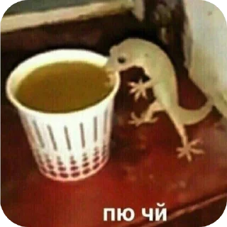 ☕ emoji МЭМ (скажи пароль.) Telegram sticker 8 of 120